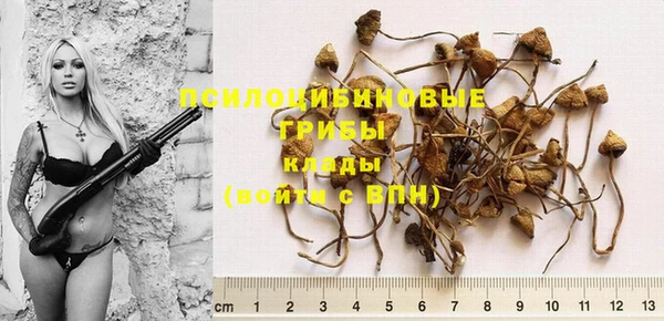 2c-b Белоозёрский