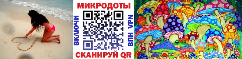 Галлюциногенные грибы Psilocybe  Павловская 